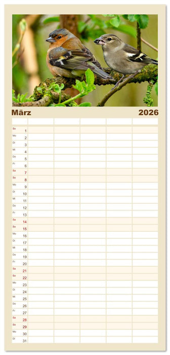 Deutschlands Finken (CALVENDO Familienplaner 2026)