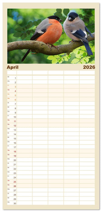 Deutschlands Finken (CALVENDO Familienplaner 2026)