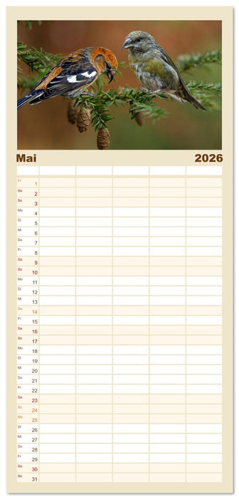 Deutschlands Finken (CALVENDO Familienplaner 2026)