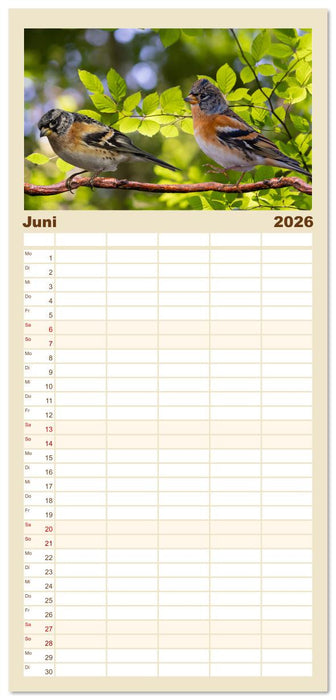 Deutschlands Finken (CALVENDO Familienplaner 2026)