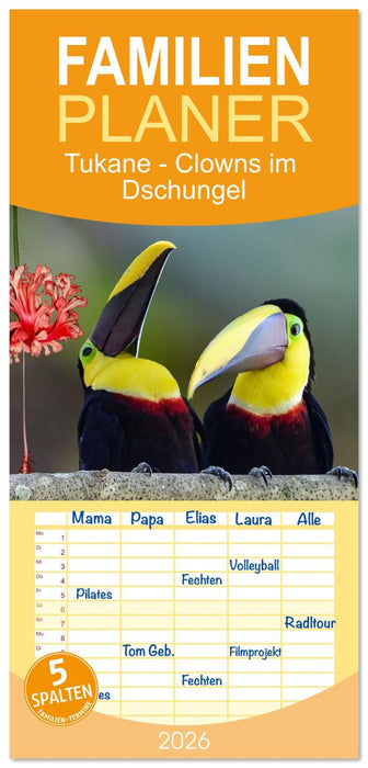 Tukane - Clowns im Dschungel (CALVENDO Familienplaner 2026)