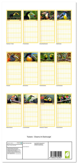 Tukane - Clowns im Dschungel (CALVENDO Familienplaner 2026)