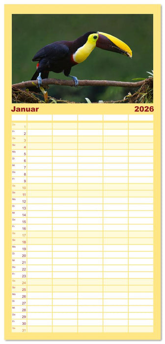 Tukane - Clowns im Dschungel (CALVENDO Familienplaner 2026)