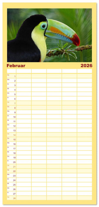 Tukane - Clowns im Dschungel (CALVENDO Familienplaner 2026)