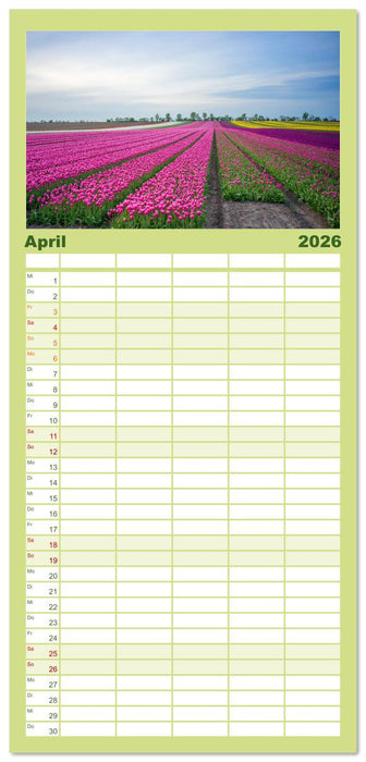 Sachsen-Anhalt - Eine Schönheit in der Mitte Deutschlands (CALVENDO Familienplaner 2026)