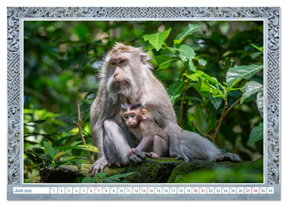 Bali, die unvergleichliche Schönheit (CALVENDO Wandkalender 2026)