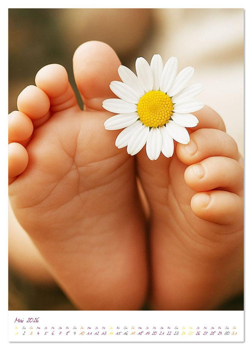 Schutzbedürftig ...sind alle Kinder (CALVENDO Premium Wandkalender 2026)