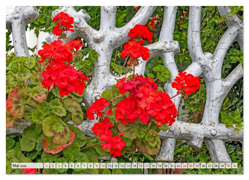 DIE FARBE ROT (CALVENDO Premium Wandkalender 2026)