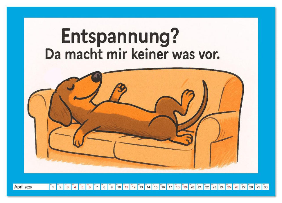 Fehlerfrei. Dackel eben. (CALVENDO Premium Wandkalender 2026)