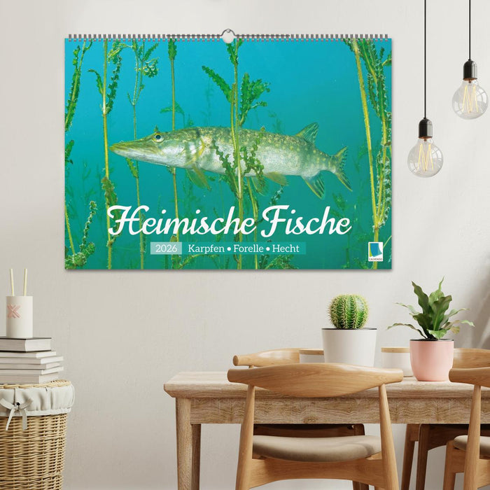 Heimische Fische: Karpfen, Forelle, Hecht (CALVENDO Wandkalender 2026)