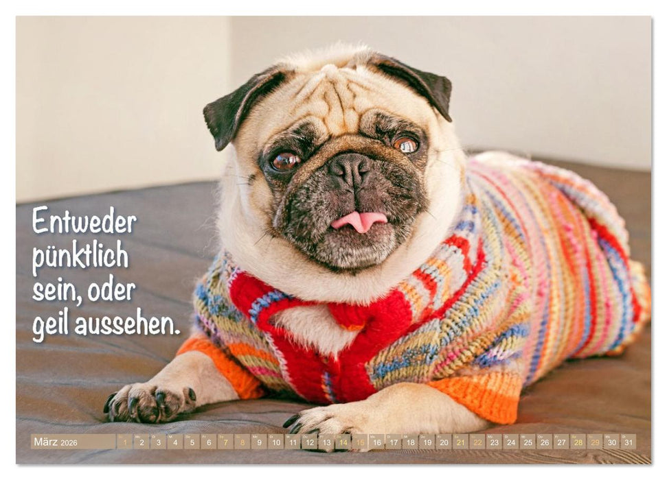 Lächeln mit Mops (CALVENDO Wandkalender 2026)