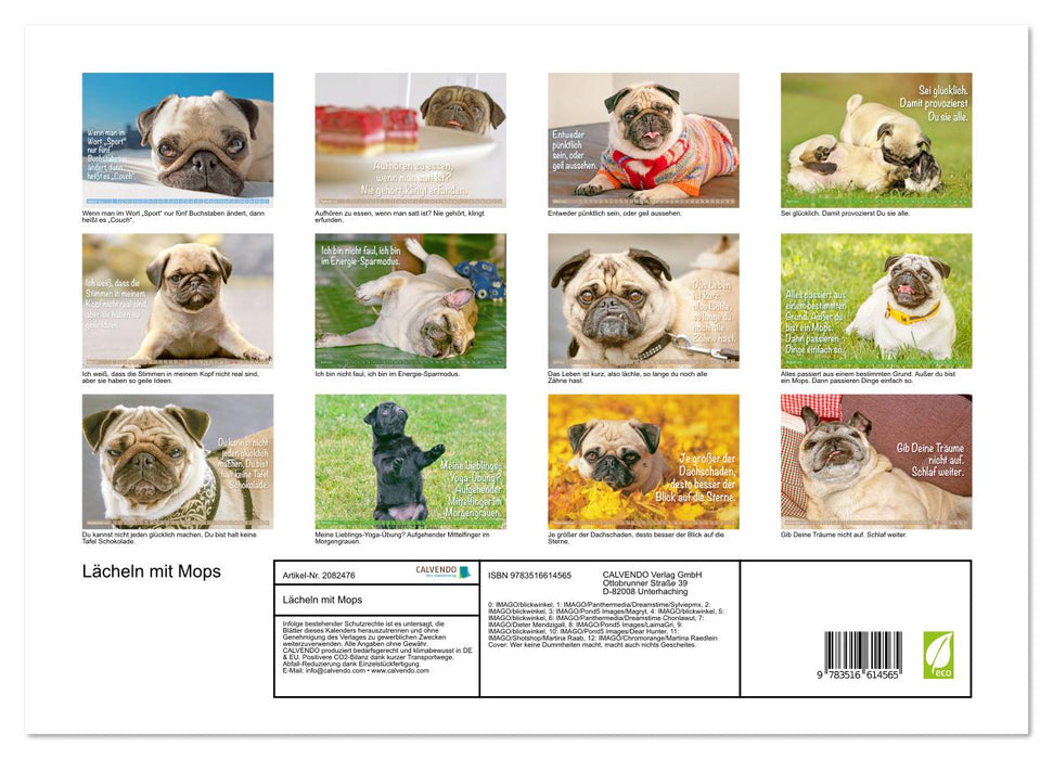 Lächeln mit Mops (CALVENDO Premium Wandkalender 2026)
