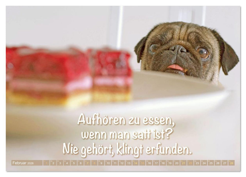Lächeln mit Mops (CALVENDO Premium Wandkalender 2026)