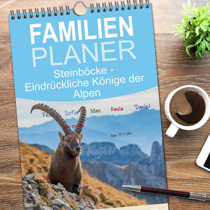 Steinböcke - Eindrückliche Könige der Alpen (CALVENDO Familienplaner 2026)