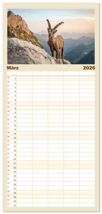 Steinböcke - Eindrückliche Könige der Alpen (CALVENDO Familienplaner 2026)