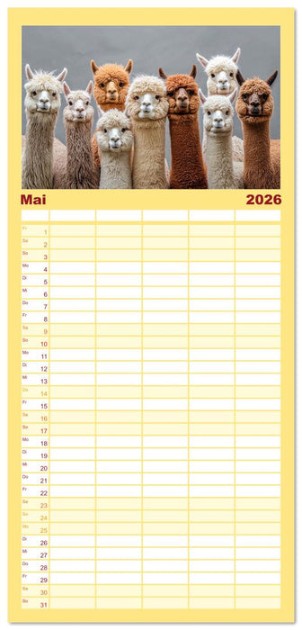 Die Welt der Alpakas (CALVENDO Familienplaner 2026)