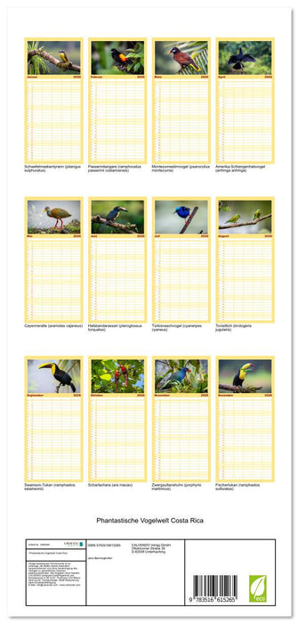 Phantastische Vogelwelt Costa Rica (CALVENDO Familienplaner 2026)