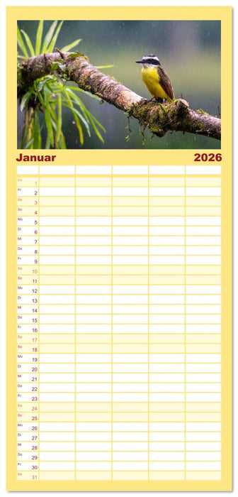 Phantastische Vogelwelt Costa Rica (CALVENDO Familienplaner 2026)