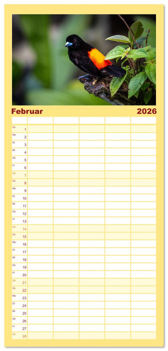 Phantastische Vogelwelt Costa Rica (CALVENDO Familienplaner 2026)