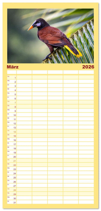 Phantastische Vogelwelt Costa Rica (CALVENDO Familienplaner 2026)