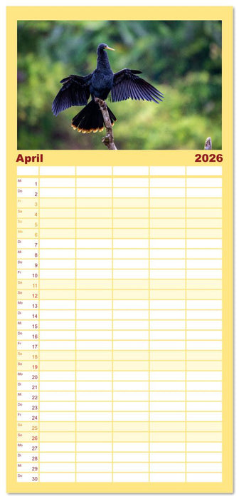 Phantastische Vogelwelt Costa Rica (CALVENDO Familienplaner 2026)