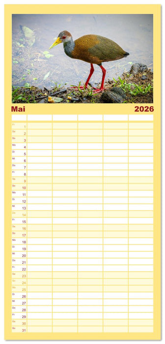 Phantastische Vogelwelt Costa Rica (CALVENDO Familienplaner 2026)