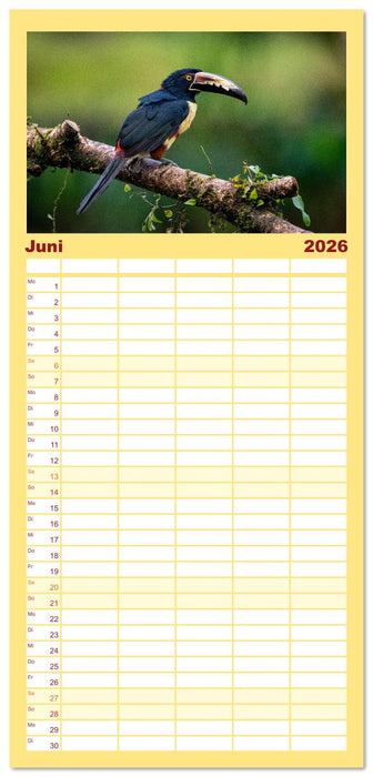 Phantastische Vogelwelt Costa Rica (CALVENDO Familienplaner 2026)