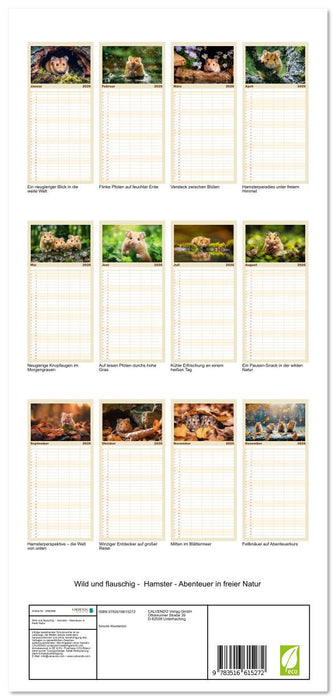 Wild und flauschig - Hamster - Abenteuer in freier Natur (CALVENDO Familienplaner 2026)