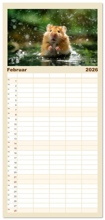 Wild und flauschig - Hamster - Abenteuer in freier Natur (CALVENDO Familienplaner 2026)