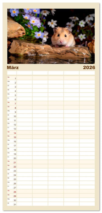 Wild und flauschig - Hamster - Abenteuer in freier Natur (CALVENDO Familienplaner 2026)