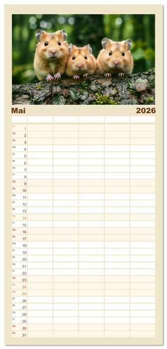 Wild und flauschig - Hamster - Abenteuer in freier Natur (CALVENDO Familienplaner 2026)