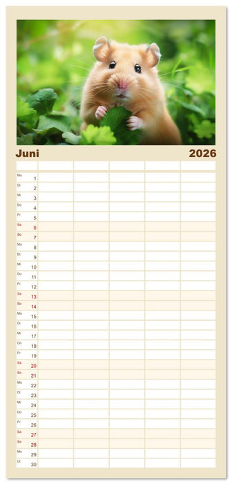 Wild und flauschig - Hamster - Abenteuer in freier Natur (CALVENDO Familienplaner 2026)