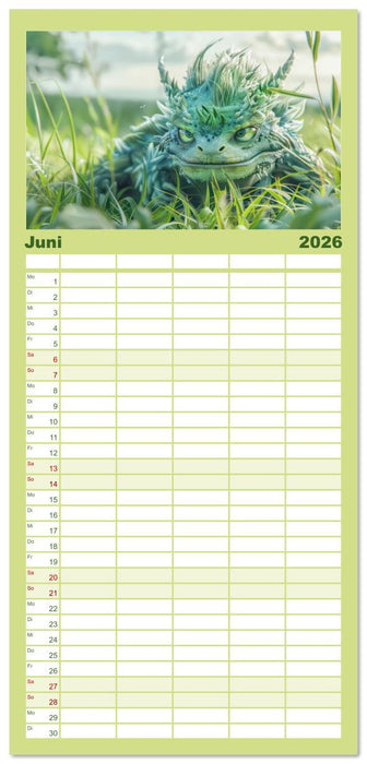 Drachen - Verspielt und fluffig (CALVENDO Familienplaner 2026)