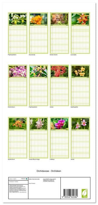 Orchidaceae - Orchideen (CALVENDO Familienplaner 2026)