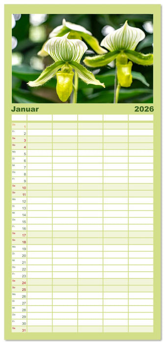 Orchidaceae - Orchideen (CALVENDO Familienplaner 2026)