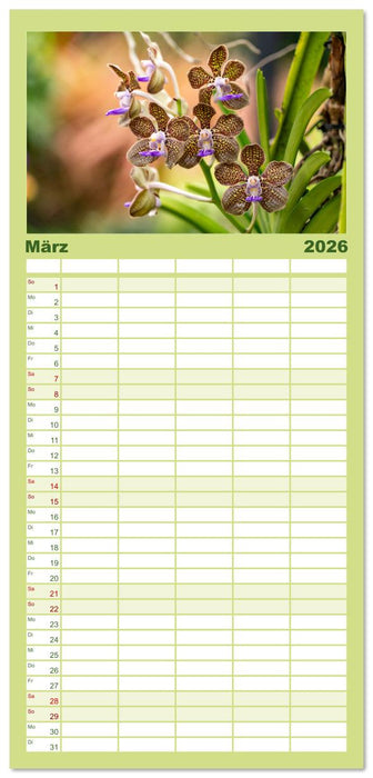 Orchidaceae - Orchideen (CALVENDO Familienplaner 2026)