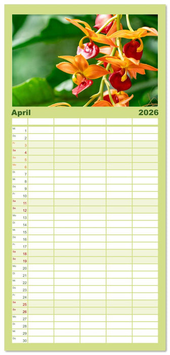 Orchidaceae - Orchideen (CALVENDO Familienplaner 2026)