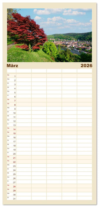 Heidelberg im Fokus (CALVENDO Familienplaner 2026)