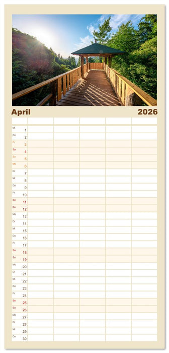 Heidelberg im Fokus (CALVENDO Familienplaner 2026)