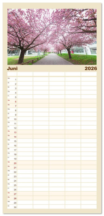 Heidelberg im Fokus (CALVENDO Familienplaner 2026)