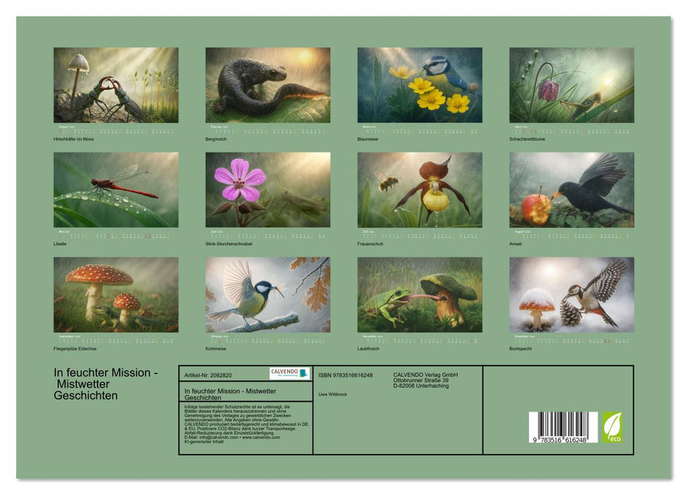 In feuchter Mission - Mistwetter Geschichten (CALVENDO Wandkalender 2026)
