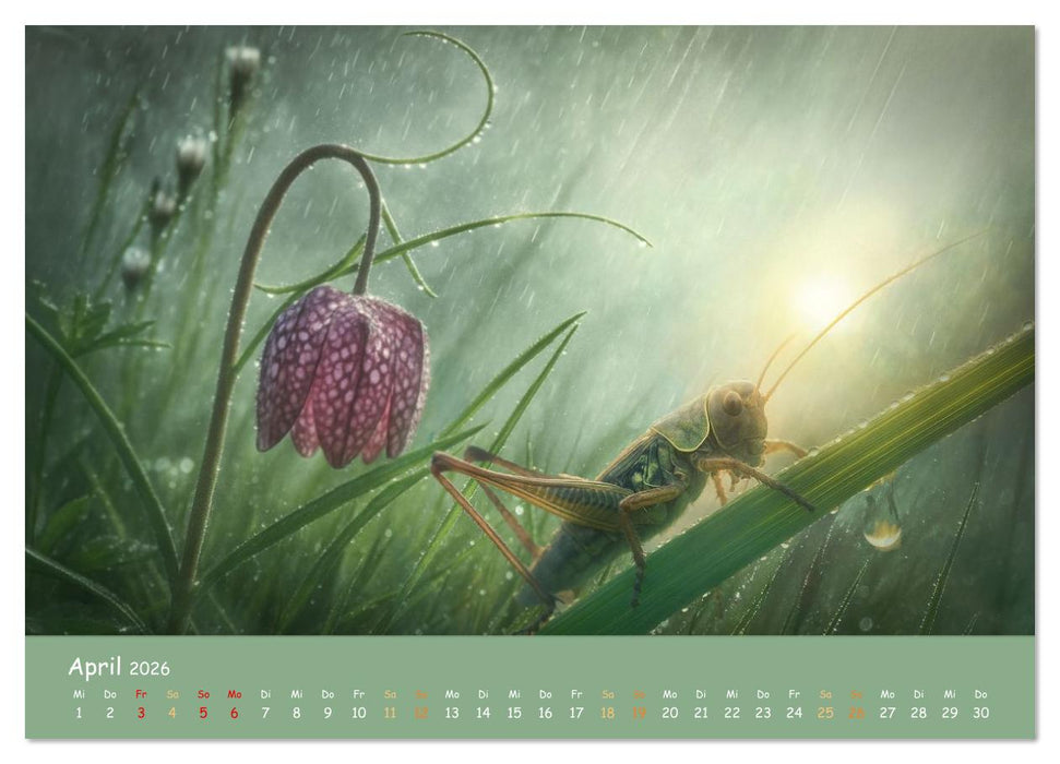In feuchter Mission - Mistwetter Geschichten (CALVENDO Wandkalender 2026)