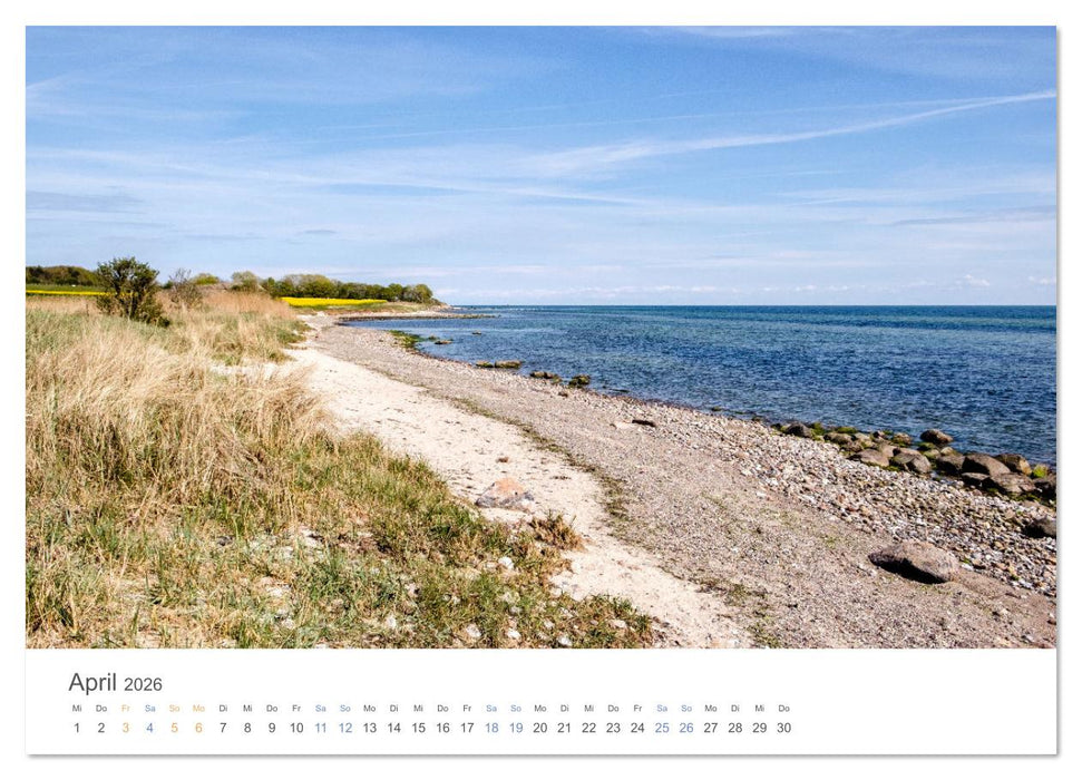 Die Sonneninsel Fehmarn (CALVENDO Wandkalender 2026)
