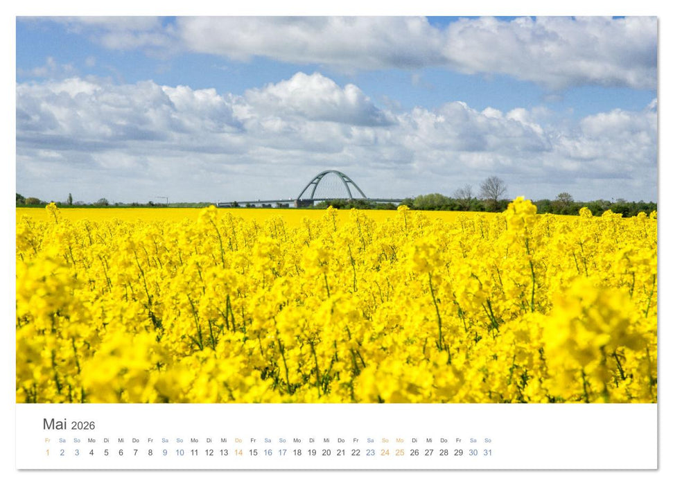 Die Sonneninsel Fehmarn (CALVENDO Wandkalender 2026)
