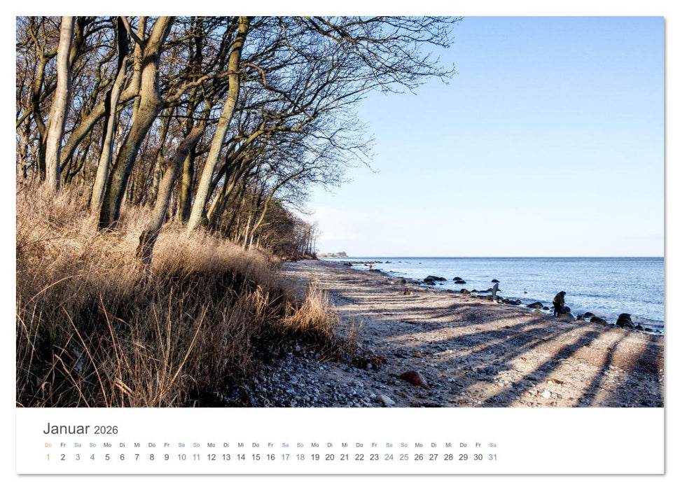 Die Sonneninsel Fehmarn (CALVENDO Premium Wandkalender 2026)