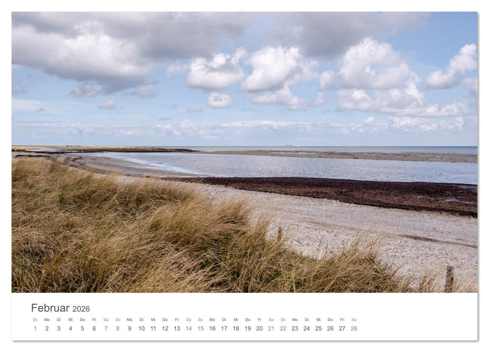 Die Sonneninsel Fehmarn (CALVENDO Premium Wandkalender 2026)