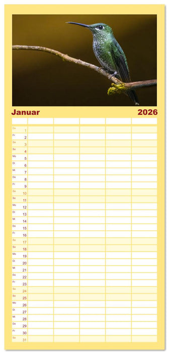 Tropische Vögel Costa Ricas (CALVENDO Familienplaner 2026)