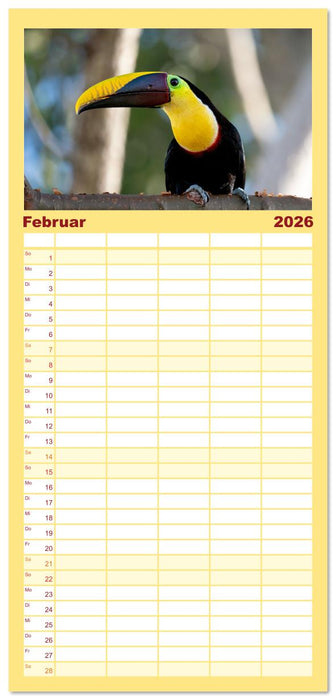 Tropische Vögel Costa Ricas (CALVENDO Familienplaner 2026)