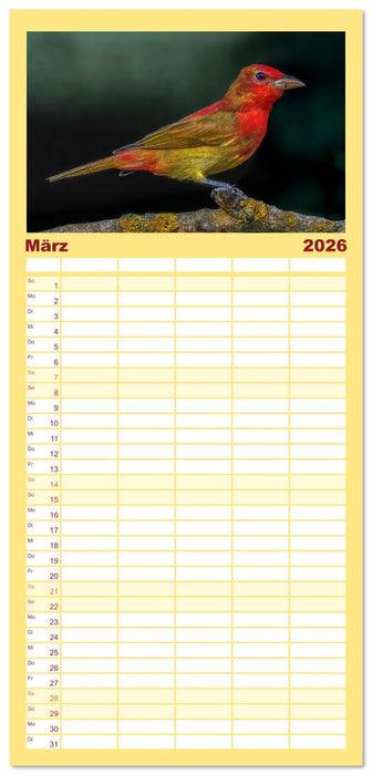 Tropische Vögel Costa Ricas (CALVENDO Familienplaner 2026)