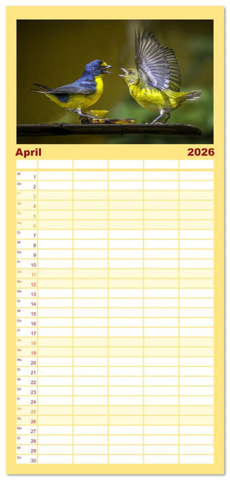 Tropische Vögel Costa Ricas (CALVENDO Familienplaner 2026)